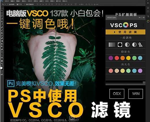 1550559456120364.jpg 11.jpg