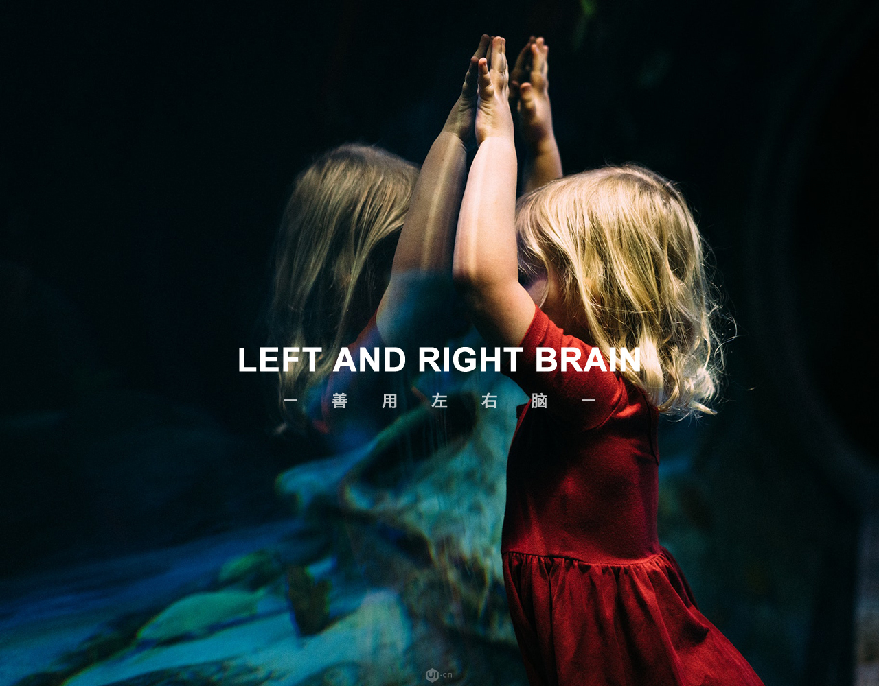 1550713828352301.jpg 4.jpg