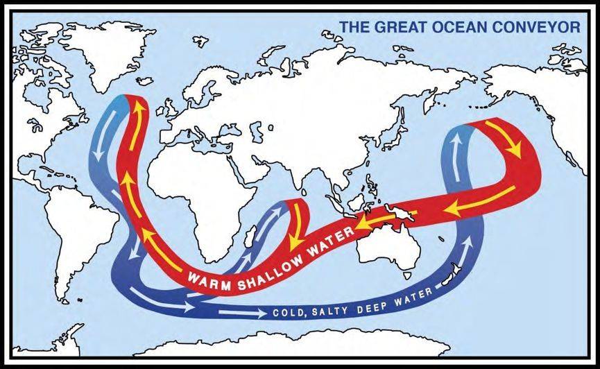 1551086614430705.jpg 9.jpg