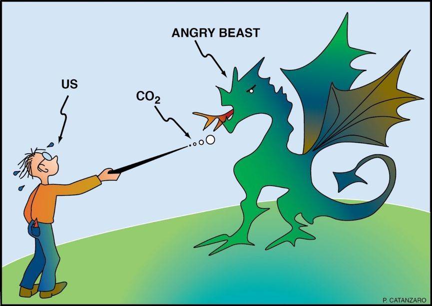 1551086825194202.jpg 13.jpg