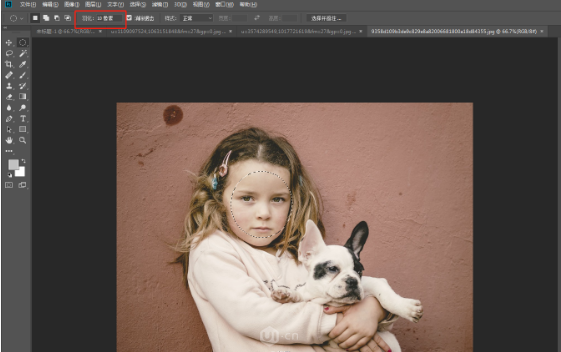请登录后查看原图 Image title