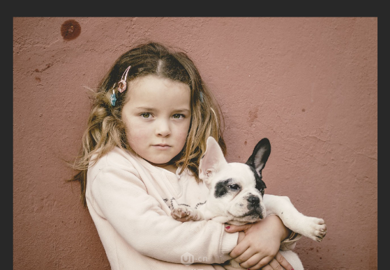 请登录后查看原图 Image title