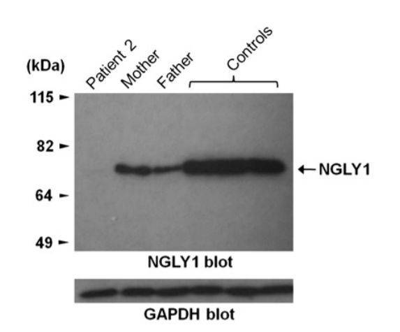 1551338689639538.jpg 8.jpg