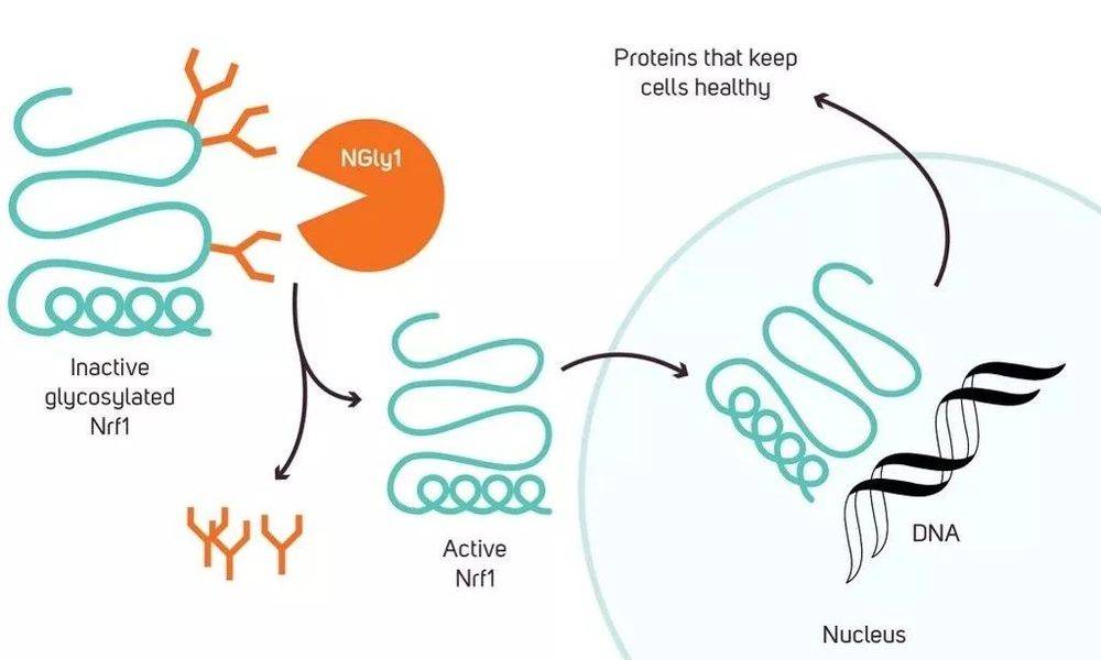 1551338902472790.jpg 13.jpg