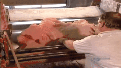 1551751980121031.gif 17.gif