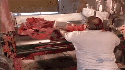 1551752004992441.gif 18.gif