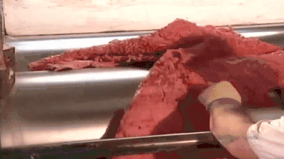 1551752079610491.gif 21.gif