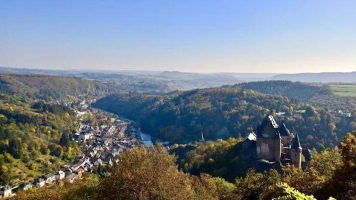 1551753309652921.jpg 5.jpg