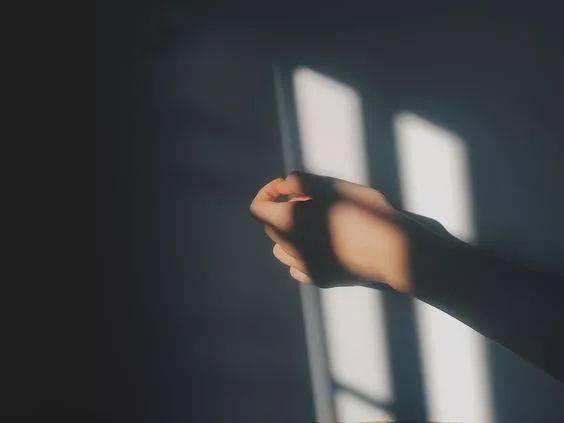 1557389517875954.jpg 094131296281.jpg