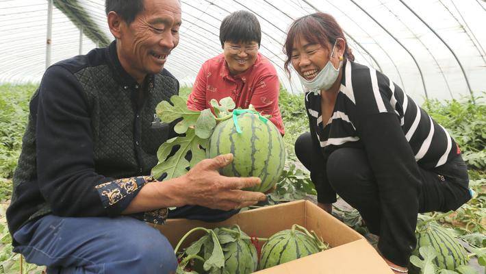 1557726129475845.jpg 110523678332.jpg